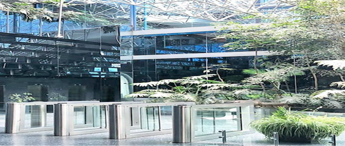 Foto de oficina en renta en periferico sur , jardines del pedregal, álvaro obregón, df / cdmx, 29055026 No. 03