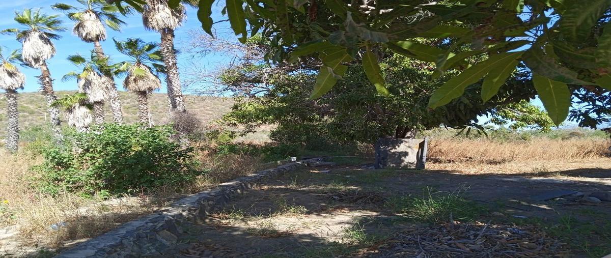 Foto de rancho en venta en  , pescadero, la paz, baja california sur, 0 No. 03