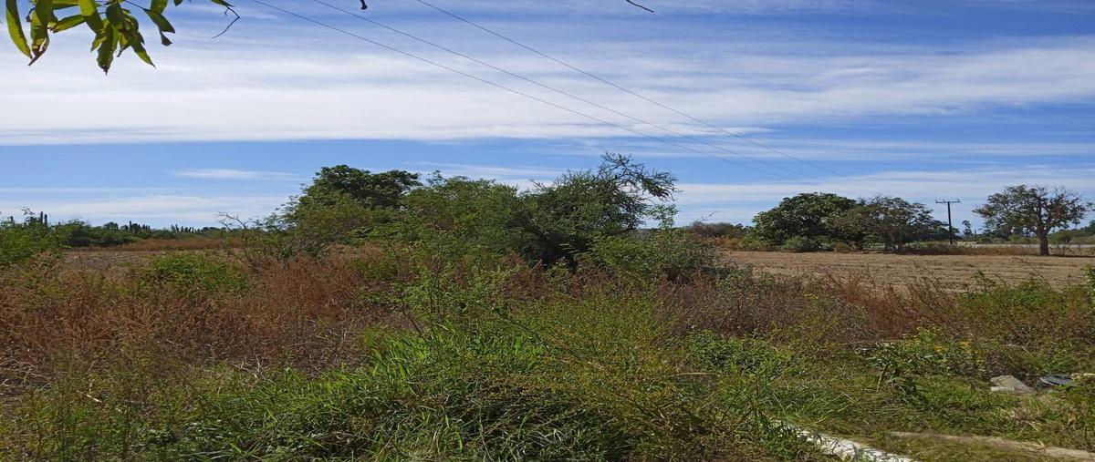 Foto de rancho en venta en  , pescadero, la paz, baja california sur, 0 No. 04