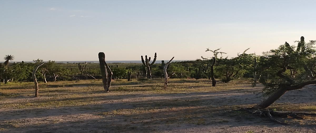 Foto de terreno habitacional en venta en  , pescadero, la paz, baja california sur, 29027308 No. 03