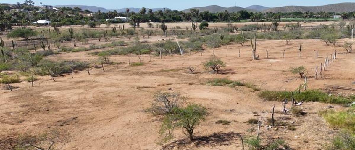 Foto de terreno habitacional en venta en  , pescadero, la paz, baja california sur, 0 No. 03