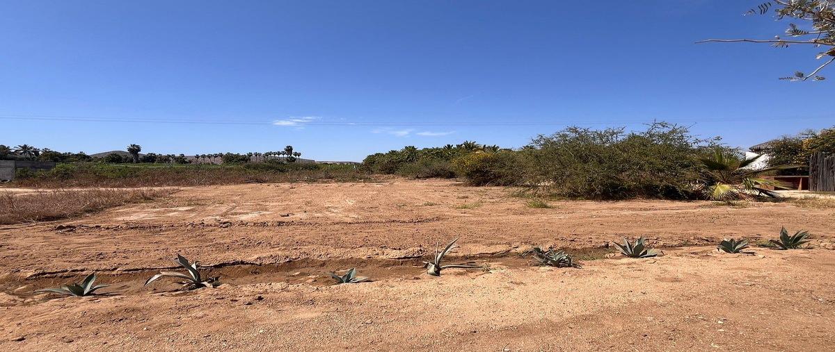 Foto de terreno habitacional en venta en  , pescadero, la paz, baja california sur, 0 No. 05