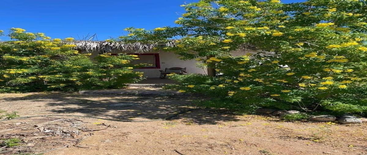 Foto de casa en pescadero , pescadero, la paz, baja california sur, 0 foto 04 Foto de casa en venta en pescadero , pescadero, la paz, baja california sur, 0 No. 04