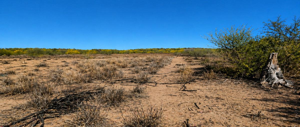 Foto de terreno habitacional en venta en  , pesqueira, san miguel de horcasitas, sonora, 0 No. 04