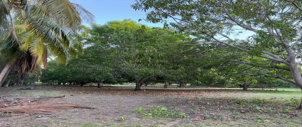 Foto de terreno comercial en venta en  , pesquería boca del cielo, tonalá, chiapas, 0 No. 04