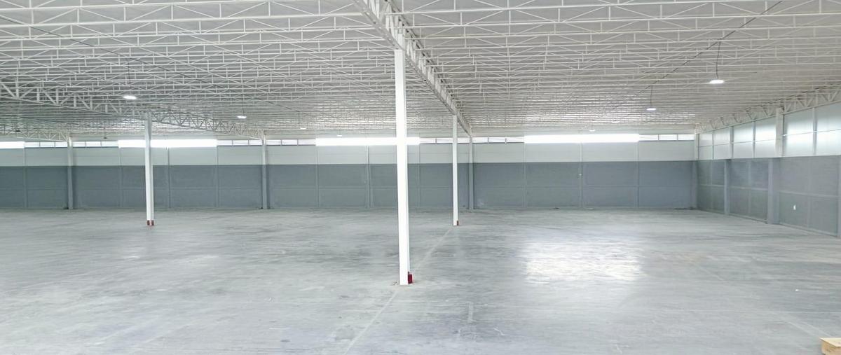 Foto de bodega en renta en  , pesquería, pesquería, nuevo león, 26686183 No. 04