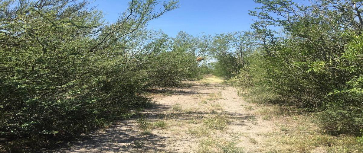 Foto de terreno habitacional en venta en  , pesquería, pesquería, nuevo león, 0 No. 04