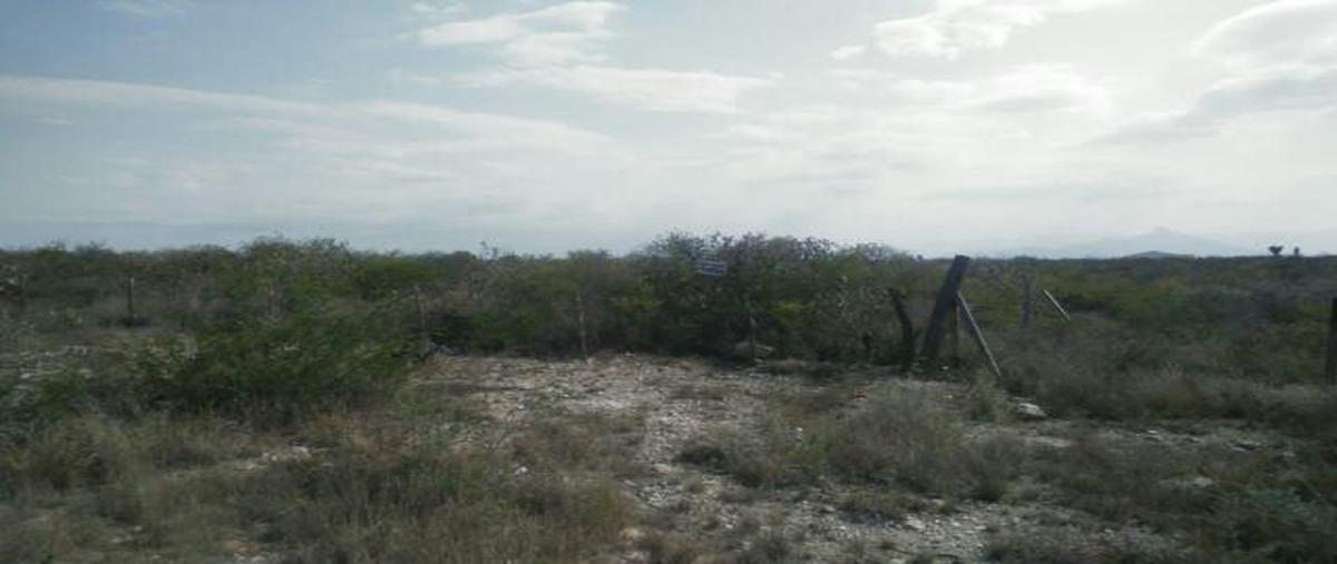 Foto de terreno habitacional en venta en  , pesquería, pesquería, nuevo león, 30313847 No. 03