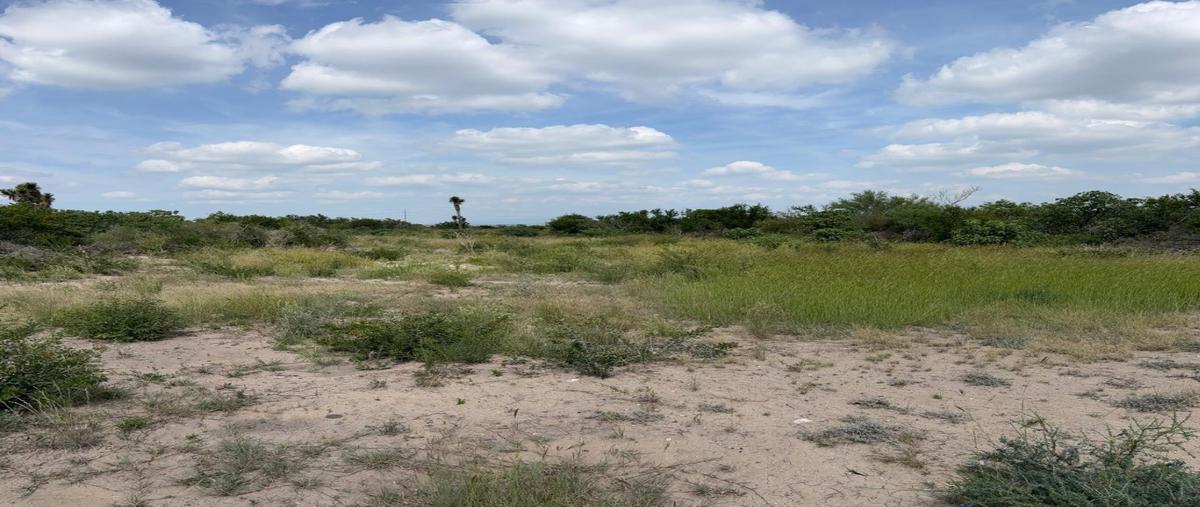 Foto de terreno habitacional en renta en  , pesquería, pesquería, nuevo león, 0 No. 03