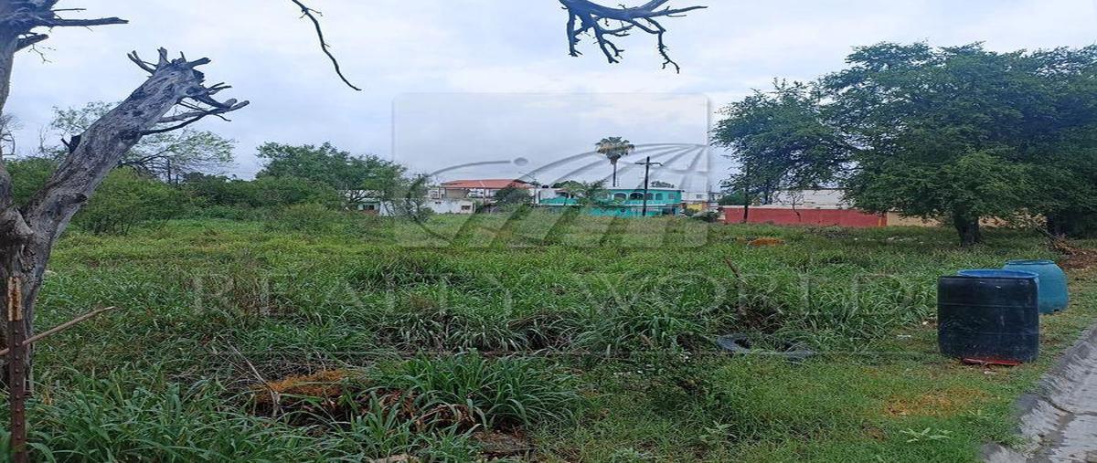 Foto de terreno habitacional en venta en  , pesquería, pesquería, nuevo león, 0 No. 03