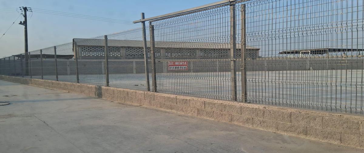 Foto de bodega en renta en  , pesquería, pesquería, nuevo león, 0 No. 05
