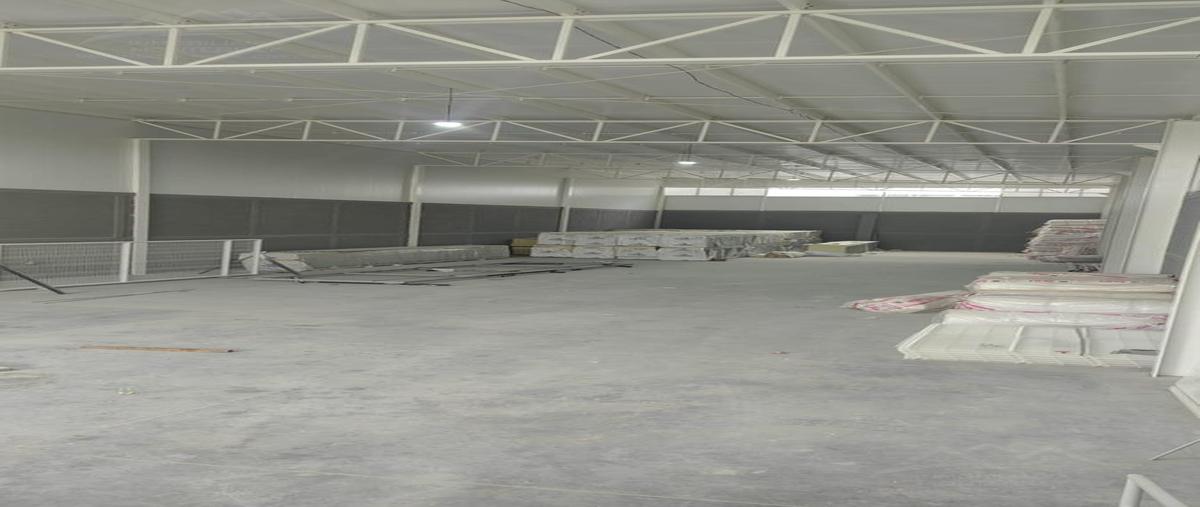 Foto de bodega en renta en  , pesquería, pesquería, nuevo león, 0 No. 03