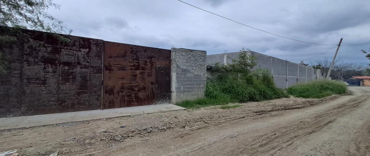 Foto de bodega en renta en  , pesquería, pesquería, nuevo león, 0 No. 04