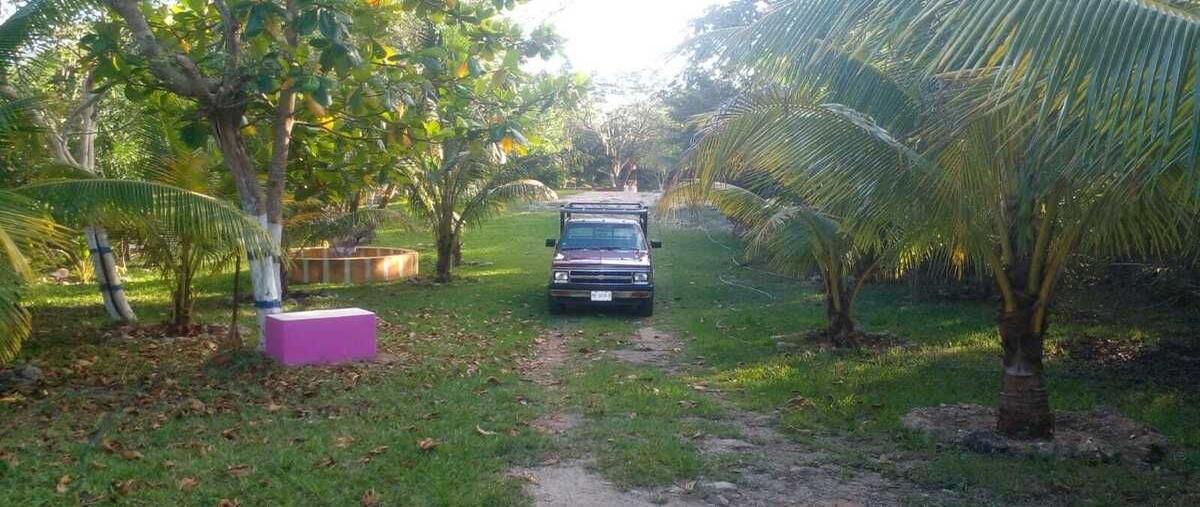 Foto de terreno habitacional en venta en  , petectunich, acanceh, yucatán, 0 No. 03
