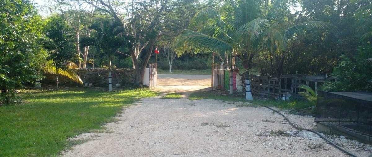 Foto de terreno habitacional en venta en  , petectunich, acanceh, yucatán, 0 No. 04