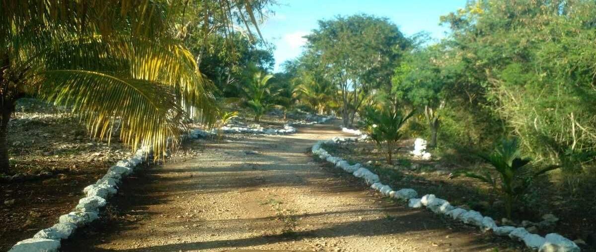 Foto de terreno habitacional en venta en  , petectunich, acanceh, yucatán, 0 No. 05