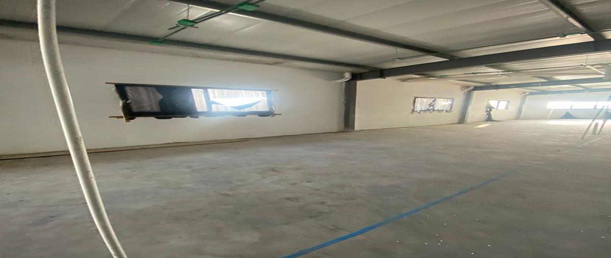 Foto de local en renta en  , petkanche, mérida, yucatán, 26623595 No. 03