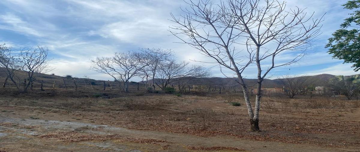 Foto de terreno habitacional en venta en petroglifos , imala, culiacán, sinaloa, 0 No. 03