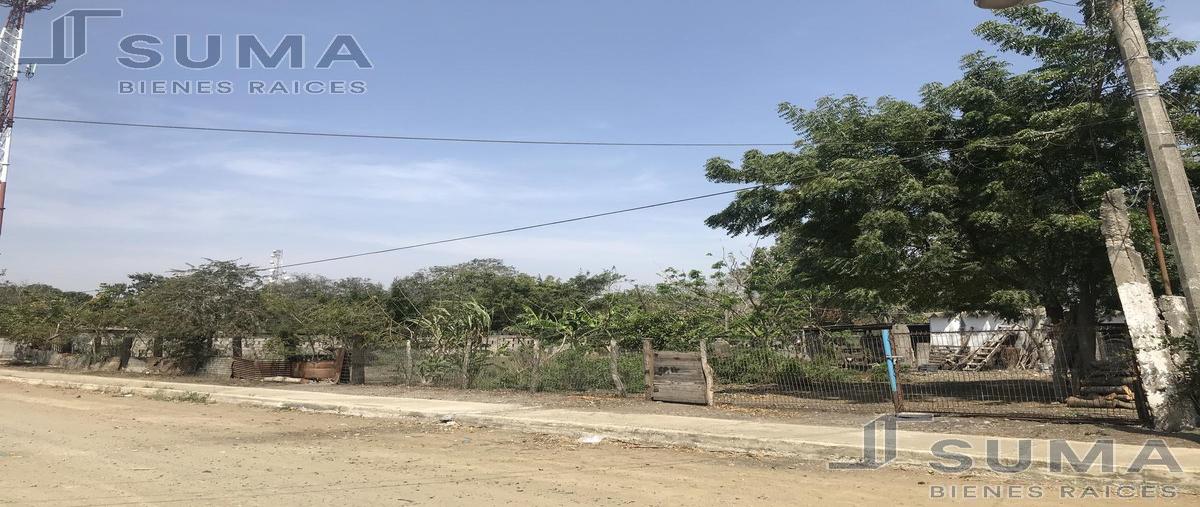 Foto de terreno habitacional en venta en  , petrolera, altamira, tamaulipas, 19811846 No. 03