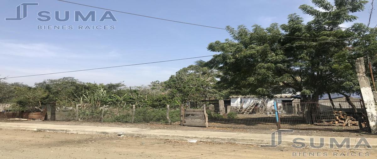 Foto de terreno habitacional en venta en  , petrolera, altamira, tamaulipas, 19811846 No. 04