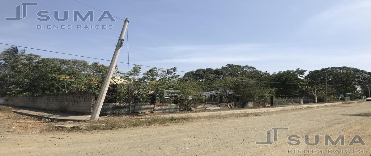 Foto de terreno habitacional en venta en  , petrolera, altamira, tamaulipas, 19811846 No. 05