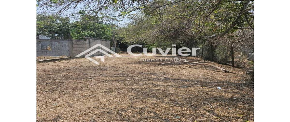 Foto de terreno habitacional en renta en  , petrolera, altamira, tamaulipas, 0 No. 03