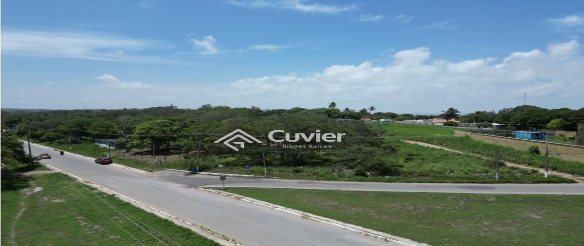 Foto de terreno habitacional en venta en  , petrolera lindavista, pueblo viejo, veracruz de ignacio de la llave, 0 No. 04