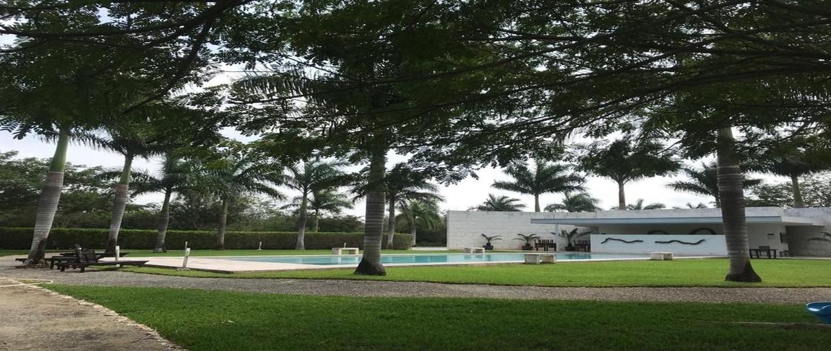 Foto de terreno habitacional en venta en phula , dzidzilché, mérida, yucatán, 27400721 No. 04