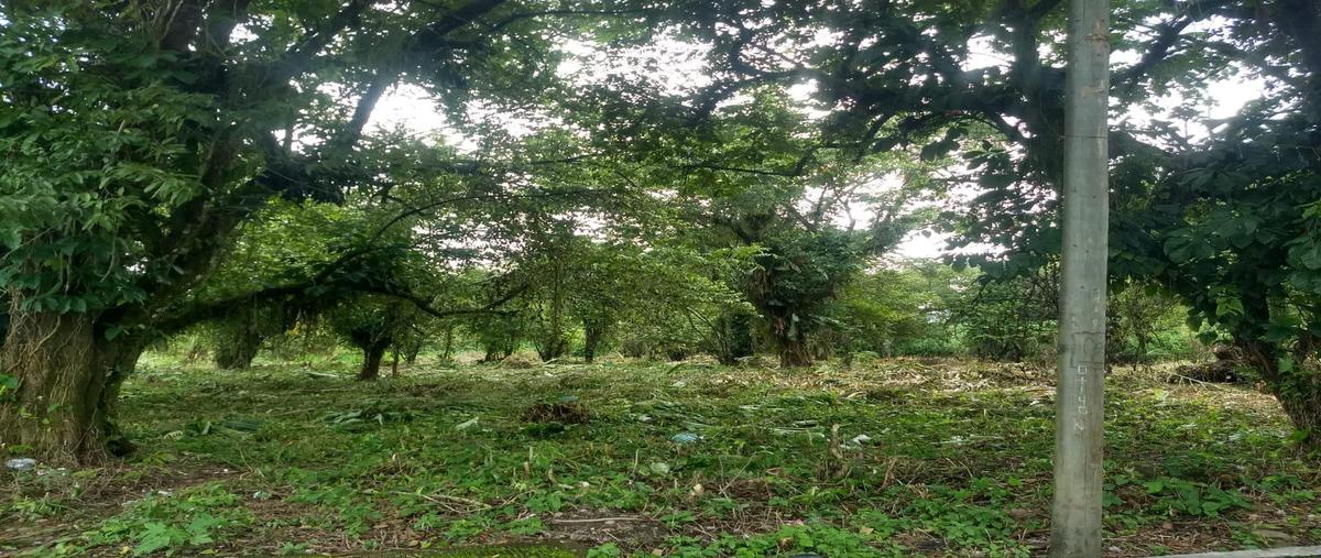 Foto de terreno habitacional en venta en  , pichucalco centro, pichucalco, chiapas, 0 No. 03