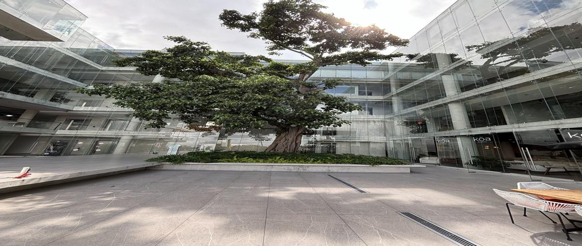 Foto de local en renta en pico de orizaba , indeco animas, xalapa, veracruz de ignacio de la llave, 0 No. 04