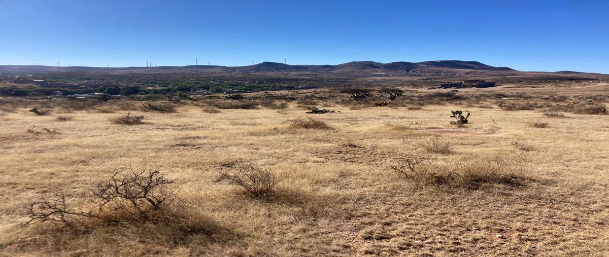 Foto de terreno comercial en venta en picones , cieneguilla, zacatecas, zacatecas, 0 No. 04