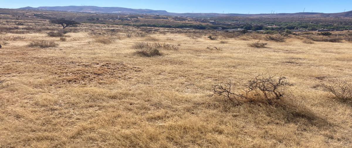 Foto de terreno comercial en venta en picones , cieneguilla, zacatecas, zacatecas, 0 No. 05