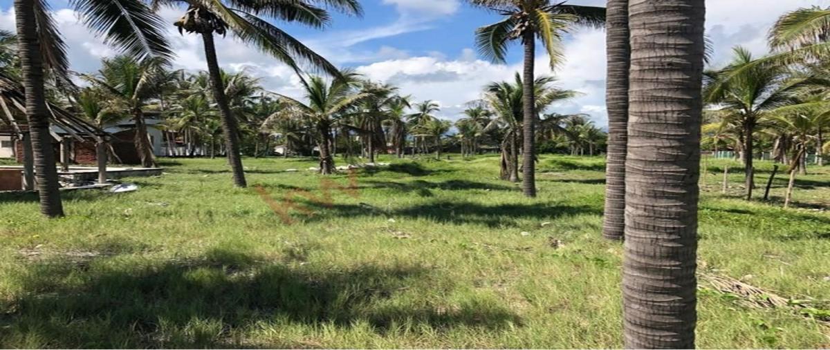 Foto de terreno industrial en venta en  , pie de la cuesta, acapulco de juárez, guerrero, 28380577 No. 05