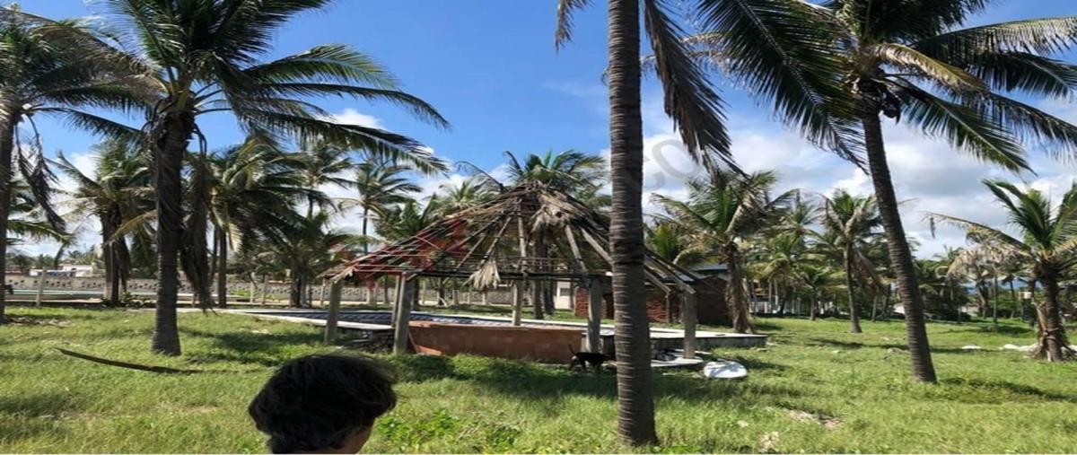 Foto de terreno industrial en venta en  , pie de la cuesta, acapulco de juárez, guerrero, 28380577 No. 06