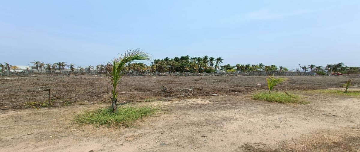 Foto de terreno habitacional en venta en  , pie de la cuesta, acapulco de juárez, guerrero, 0 No. 04