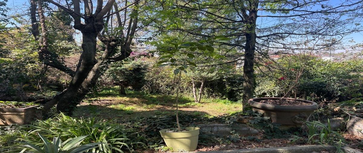 Foto de casa en venta en pie de la cuesta , lomas de bezares, miguel hidalgo, df / cdmx, 26010544 No. 02