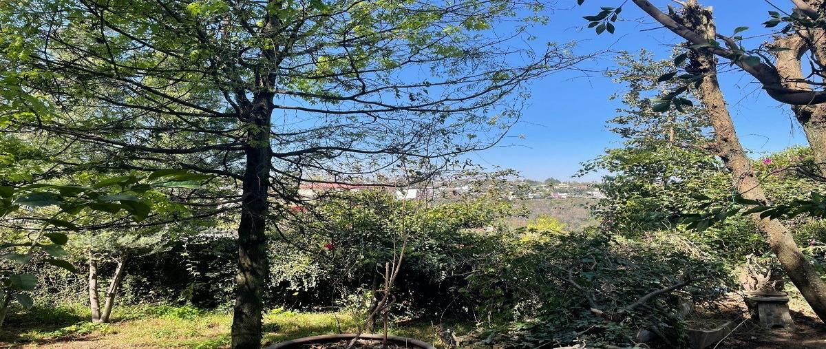 Foto de casa en venta en pie de la cuesta , lomas de bezares, miguel hidalgo, df / cdmx, 26010544 No. 04