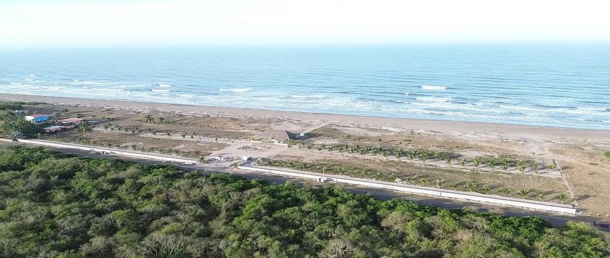 Foto de terreno habitacional en venta en pie de playa , novillero, tecuala, nayarit, 0 No. 03