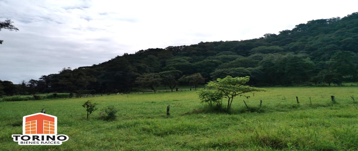 Foto de casa en venta en  , piedra de agua, jilotepec, veracruz de ignacio de la llave, 8165765 No. 03