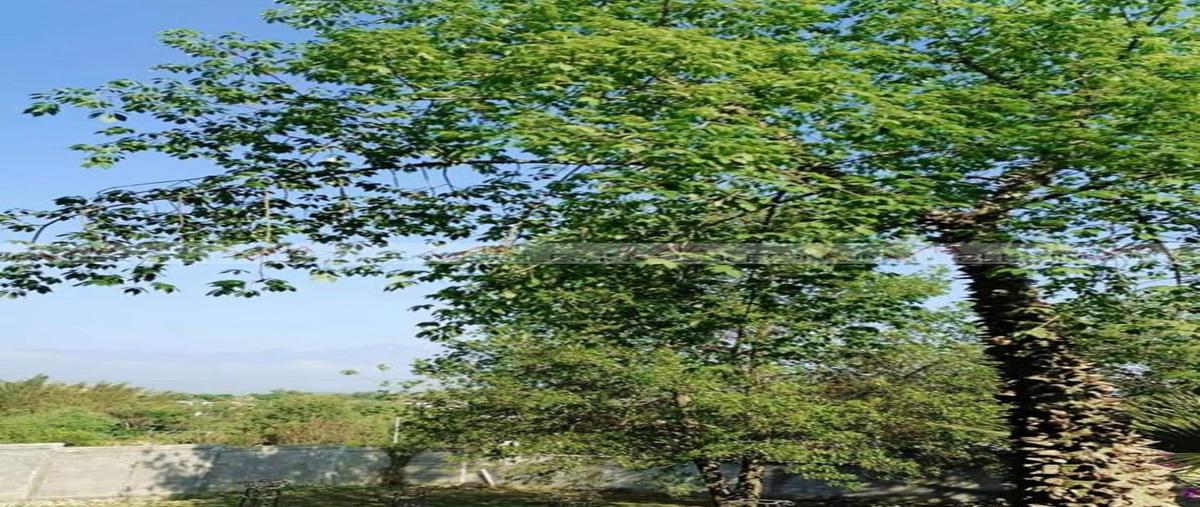 Foto de rancho en venta en piedra de fierro , piedra de fierro, santiago, nuevo león, 26105128 No. 03