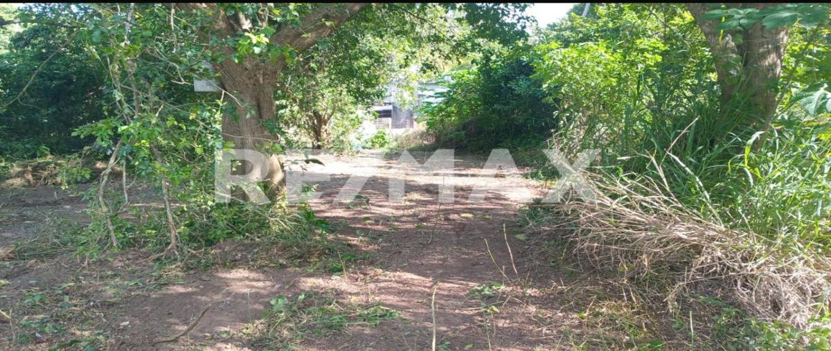 Foto de terreno habitacional en venta en piedras negras , buena vista, tuxpan, veracruz de ignacio de la llave, 0 No. 03