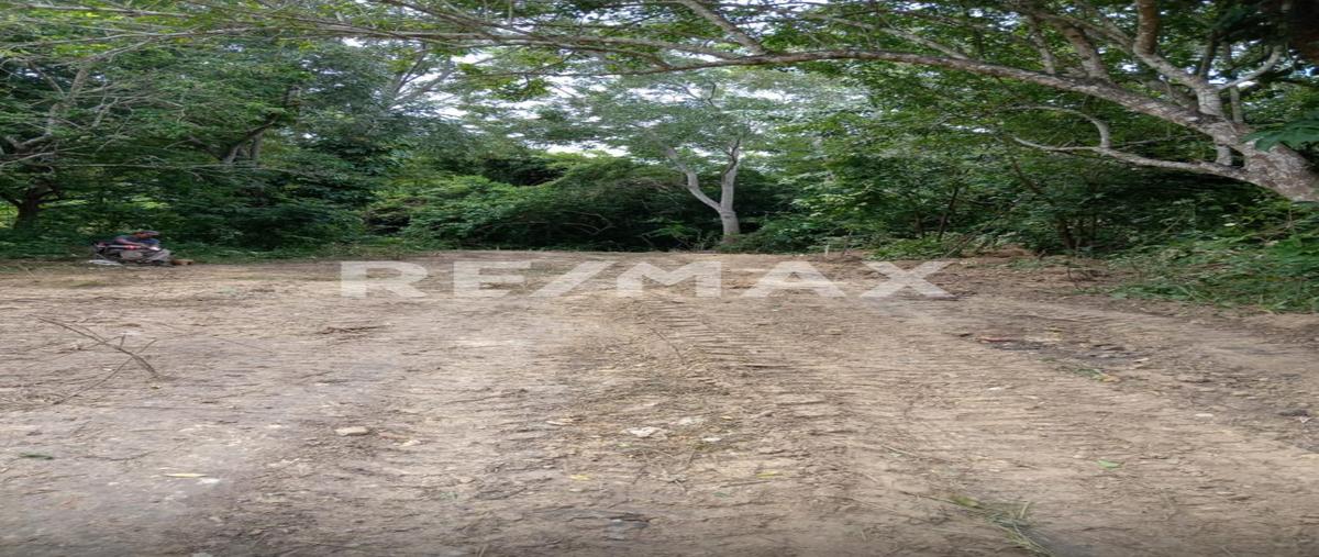 Foto de terreno habitacional en venta en piedras negras , buena vista, tuxpan, veracruz de ignacio de la llave, 0 No. 04