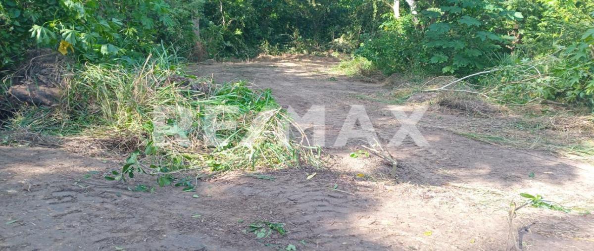 Foto de terreno habitacional en venta en piedras negras , buena vista, tuxpan, veracruz de ignacio de la llave, 0 No. 03