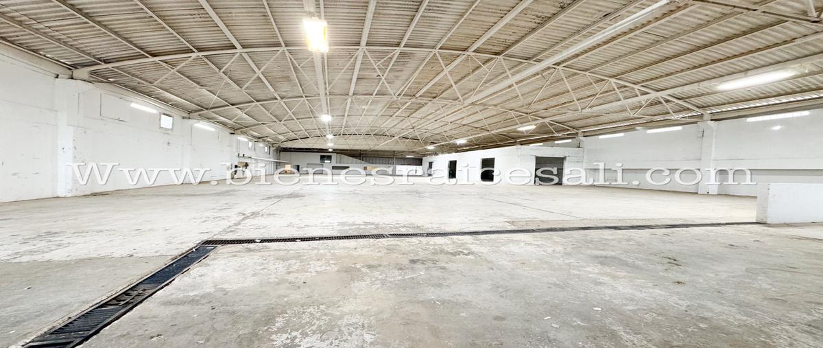 Foto de bodega en renta en  , piedras negras centro, piedras negras, coahuila de zaragoza, 0 No. 04