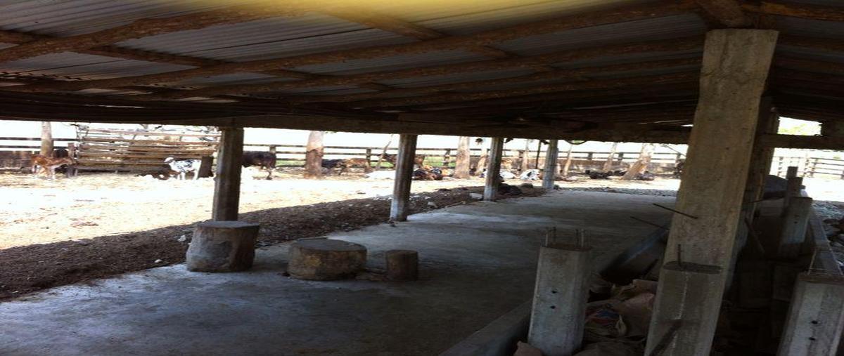 Foto de casa en , pijijiapan centro, pijijiapan, chiapas, 30303292 foto 02 Foto de casa en venta en , pijijiapan centro, pijijiapan, chiapas, 30303292 No. 02