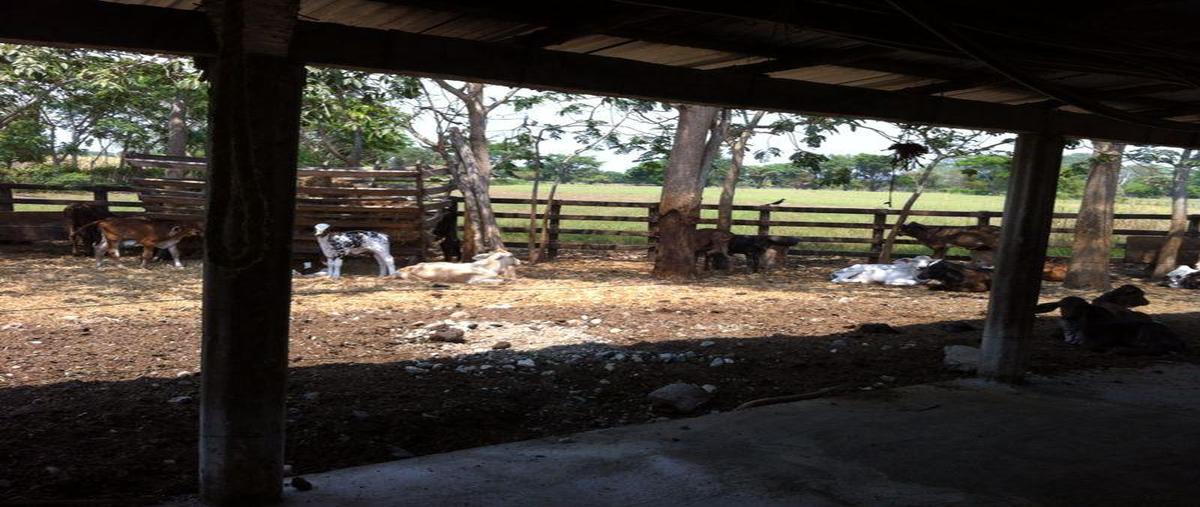 Foto de casa en , pijijiapan centro, pijijiapan, chiapas, 30303292 foto 03 Foto de casa en venta en , pijijiapan centro, pijijiapan, chiapas, 30303292 No. 03