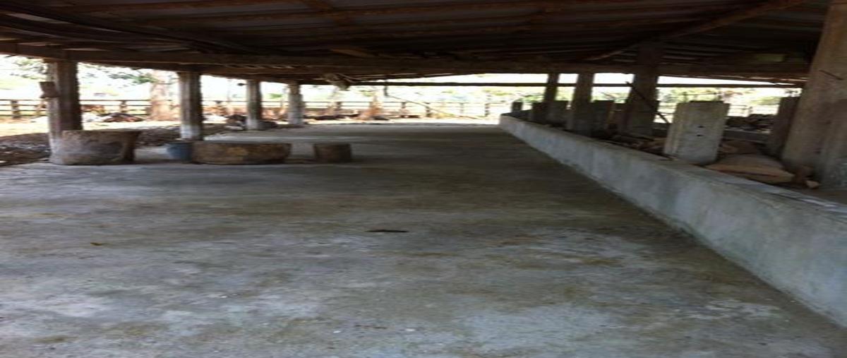 Foto de casa en , pijijiapan centro, pijijiapan, chiapas, 30303292 foto 04 Foto de casa en venta en , pijijiapan centro, pijijiapan, chiapas, 30303292 No. 04