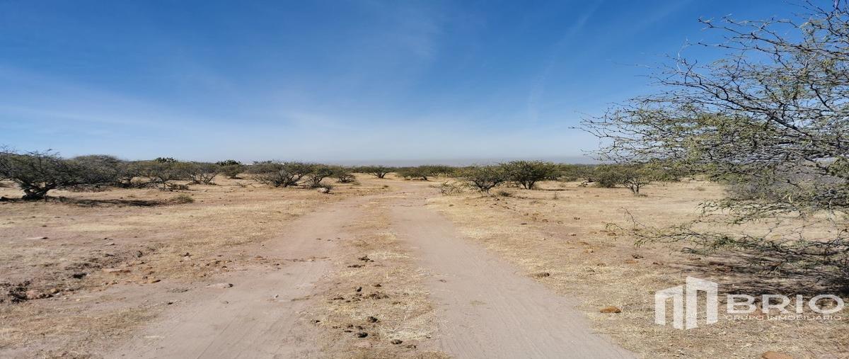 Foto de terreno habitacional en venta en  , pilar de zaragoza, durango, durango, 18851021 No. 05