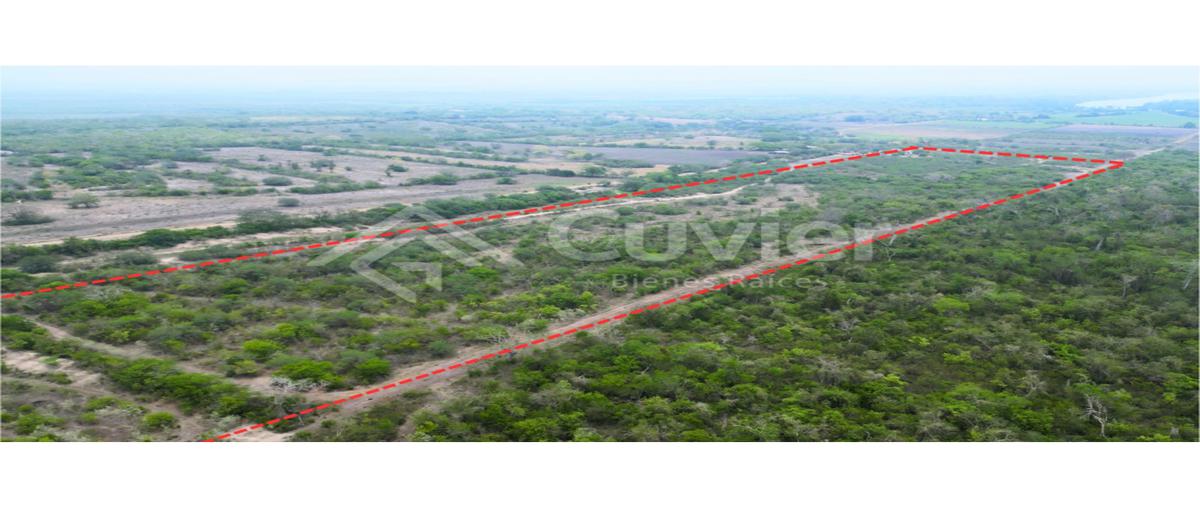 Foto de terreno habitacional en , piloto 1, pánuco, veracruz de ignacio de la llave, 0 foto 01 Foto de terreno habitacional en venta en , piloto 1, pánuco, veracruz de ignacio de la llave, 0 No. 01