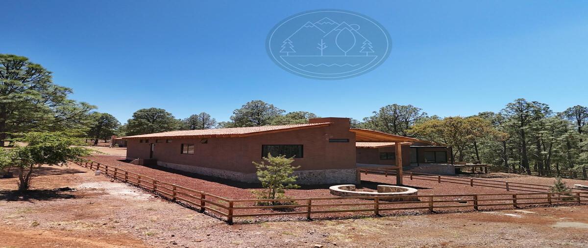 Foto de casa en pinar de atemajac , atemajac de brizuela, atemajac de brizuela, jalisco, 0 foto 04 Foto de casa en venta en pinar de atemajac , atemajac de brizuela, atemajac de brizuela, jalisco, 0 No. 04